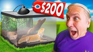 Best Bearded Dragon Cage For Under $200!