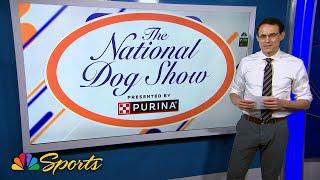 2024 National Dog Show: Popular dog trends with Steve Kornacki | NBC Sports