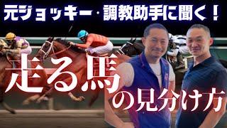 【一口馬主入門】元騎手と調教助手に聞く！血統と馬体で活躍する馬の見極める方法は？ byRisingSunSyndicate