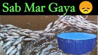 Biofloc fish farming !! SAB mar Gaya 