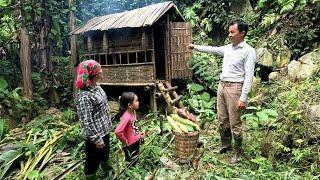 Rich man takes single mother into the forest to harvest luffa, build a new life, orphaned Po