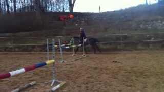 Gracjana 5 y.o. mare natural jumping