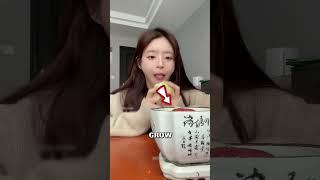 This Girl Grows A Watermelon In Apple