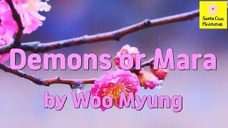 Master Woo Myung - Wisdom Writing - Demons or Mara | Santa Clara Meditation