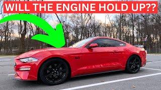 WE PUT NOS ON THE MUSTANG GT!! SO MUCH MORE POWER!