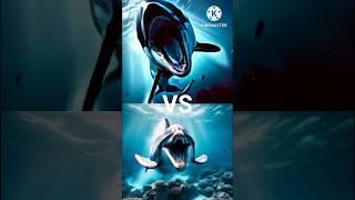 Killer Orca Whale vs Megalodon vs ( Dolphin, shark, blue whale, turtle, seal, octopus) #shorts