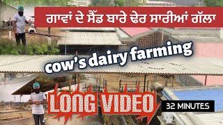 Cow’s dairy farming// ਗਾਵਾਂ ਦੇ ਸੈੱਡ ਬਾਰੇ ਢੇਰ ਸਾਰੀਆਂ ਗੱਲਾਂ //long video//SEERA DHILLON