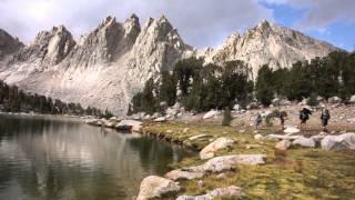 Golden Trout- Liquid Gold