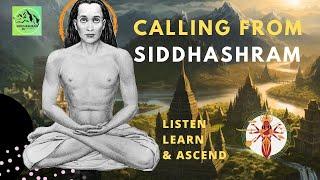 True Calling From Siddhashram | Mahavatar Babaji | Arise Awake & Ascend