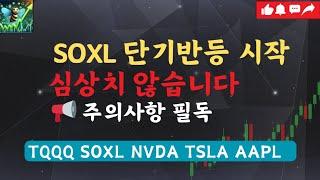 SOXL 반등이 심상치 않습니다 / 미국주식 차트분석 기술적분석 TQQQ SOXL TSLA NVDA AAPL