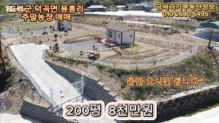 (50311) 고령군 덕곡면 용흥리 주말농장 매매 / 고령 주말농장 , 농막 매매 ( 200평 ) - [ 고령부동산 ]