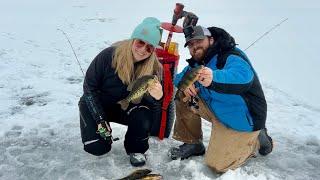 First Ice Crappie and Perch! | Maine Ice fishing