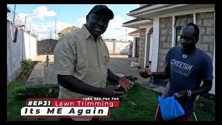 Tips on Lawn Trimming & Grass Maintenance – ITS EM AGAIN Elder EM