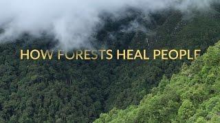 Forest Bathing | Shinrin-Yoku | Healing in Nature | Short Documentary