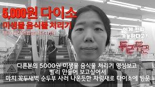 5000원 다이소 미생물 음식물처리기 제가 도전해봤습니다.