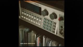 IJO AKAI BREAKS - 90s Jungle Sample Pack