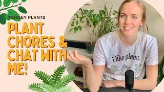 Houseplant Chores & Maintenance & Chat with Me