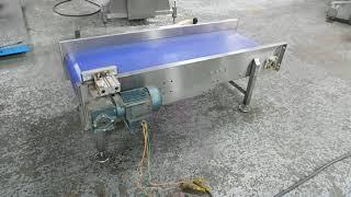 Kleenline stainless steel belt conveyor