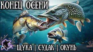 Это стоит знать каждому Рыбалка на хищника поздней осенью. Щука,судак,окунь.