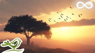 Beautiful Romantic Music • Relaxing Music, Guitar Music, Violin Music, Cello Music, Piano Music