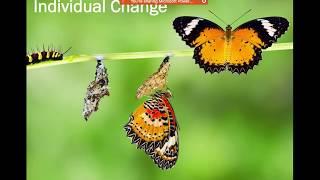 Tools for Perseverance - Change: Individual Behavior Change