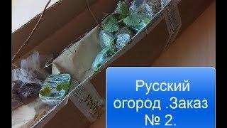 Русский огород мой заказ№ 2 /Саженцы  почтой.