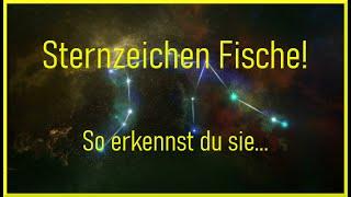 🟡Du wirst erstaunt sein was in den Sternzeichen FISCHE Menschen steckt und wie sie ticken!