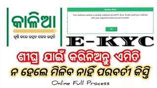 2024 Kalia Yojana E-KYC || ୨୦୨୪ କାଳିଆ ଯୋଜନା ରେ କେମିତି EKYC କରିବେ || How To Update Kalia Portal EKyc