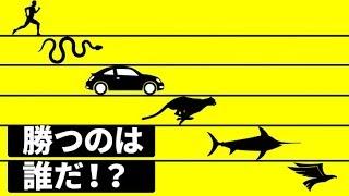 世界最速の生物は何なのか？