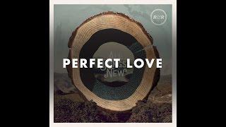 Rivers & Robots - Perfect Love (Official Audio)