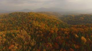 Прогулка в золотую приморскую осень Golden autumn in Primorye