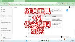 SEO工具 +AI 做google seo关键词研究