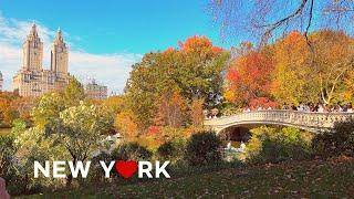 [4K]NYC Autumn Walk:Enjoy the fall foliage in Central Park on a sunny SaturdayOct. 28, 2023