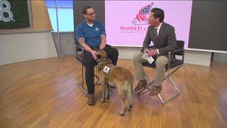 Local Veteran's bond with Service Dog; overcoming PTSD