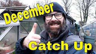Dave's Allotment Garden. December Catch Up. Salvaging Fruit Tree's, Storm Damage Tidy Up & Tour
