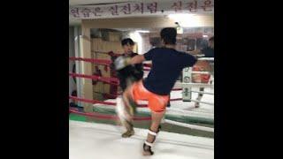 건흥 무에타이 스파링 / 대학생 이도현 vs 중학생 이도현 /건흥 무에타이 /#muaythai #SelfDefense #Diet #무에타이 #건흥무에타이, #속초, #건흥,