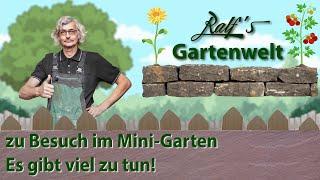 Der Mini-Garten I Ralf´s Gartenwelt I  Es gibt viel zu tun!