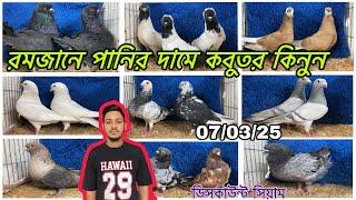 রমজানে পানির দামে কবুতর কিনুন। ডিসকাউন্ট সিয়াম।