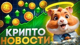 Крипто Новости: игра от Binance, листинг Hamster Kombat и котиков, фильм про Виталика Бутерина