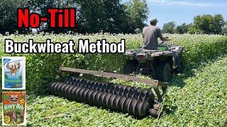 No-Till Brassica Food Plot into Buckwheat Method