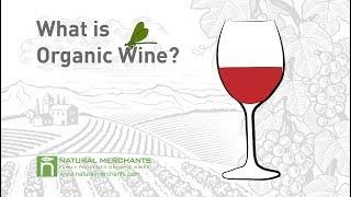 What is Organic Wine? - Natural Merchants Organic Wine