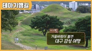 [테마기행 길] 가을바람이 불면 대구 감성 여행