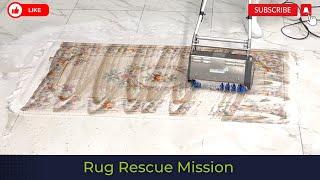 RUG RESCUE See How We Restored This Oriental Masterpiece! #asmrcleaning #rugcleaning #cleaningsounds