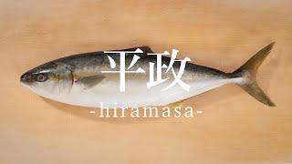 平政（ひらまさ）のさばき方 - How to filet Yellowtail Amberjack -｜日本さばけるプロジェクト（海と日本プロジェクト）