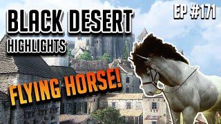 How to clear... 101 - Black Desert Highlights and Funny Moments #171 (PVP, PEN, etc)