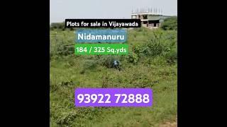 Land for sale in Vijayawada | Nidamanuru | 16500/- Sq yd | #vijayawada