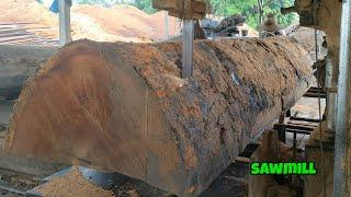 amazing kempas wood processing/sawing