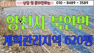 #1230 영천시 북안면 계획관리지역, 바로 옆으로 호수가 있고 곧 도로포장도 완료될예정!  더 많은 매물 및 상담전화 010-8489-3589/