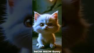 Tomcat love to little pussy #motivation #catlife #struggle #care