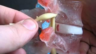 Fully Clear LxH by Dynamic Disc Designs Corp.